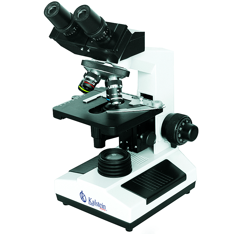 Consumibles, repuestos y accesorios compatibles con el microscopio YR0242