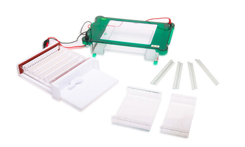 Personalización y accesorios opcionales para la electroforesis YR03420