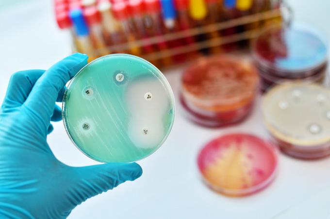 La amenaza de estos tiempos: La Resistencia Bacteriana