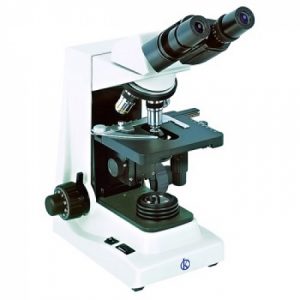 Detección del Virus de Papiloma Humano con el uso del Microscopio