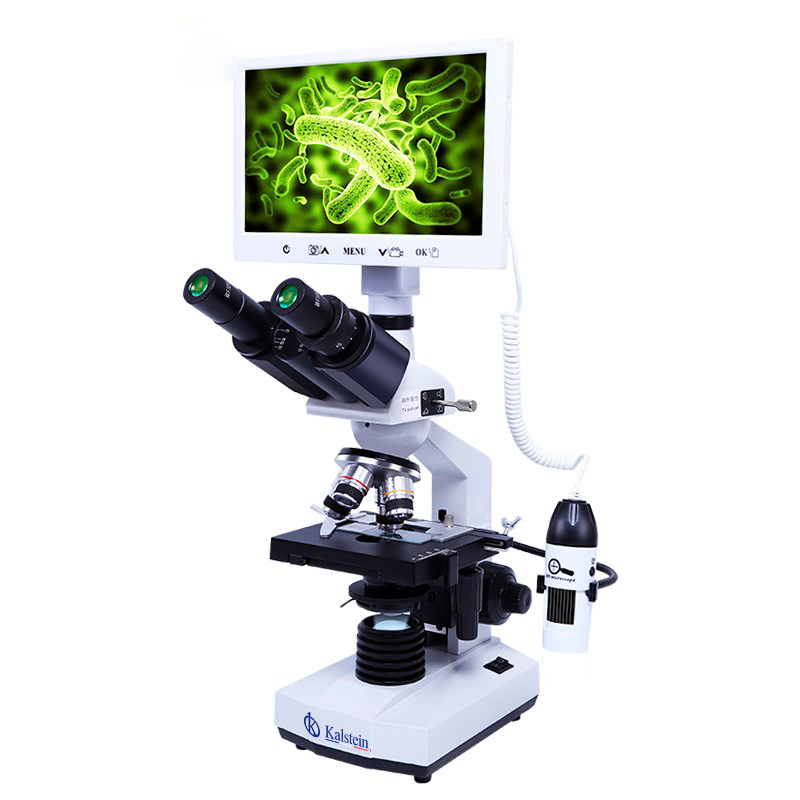 El microscopio y la tinción de muestras cerebrales para diagnosticar el alzheimer