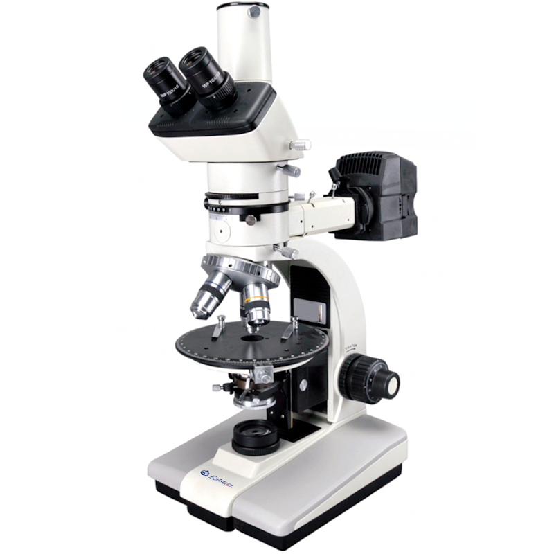 Comparativa de Microscópios Polarizadores: Kalstein YR0264 – YR0265 vs Ciencia 590 POL