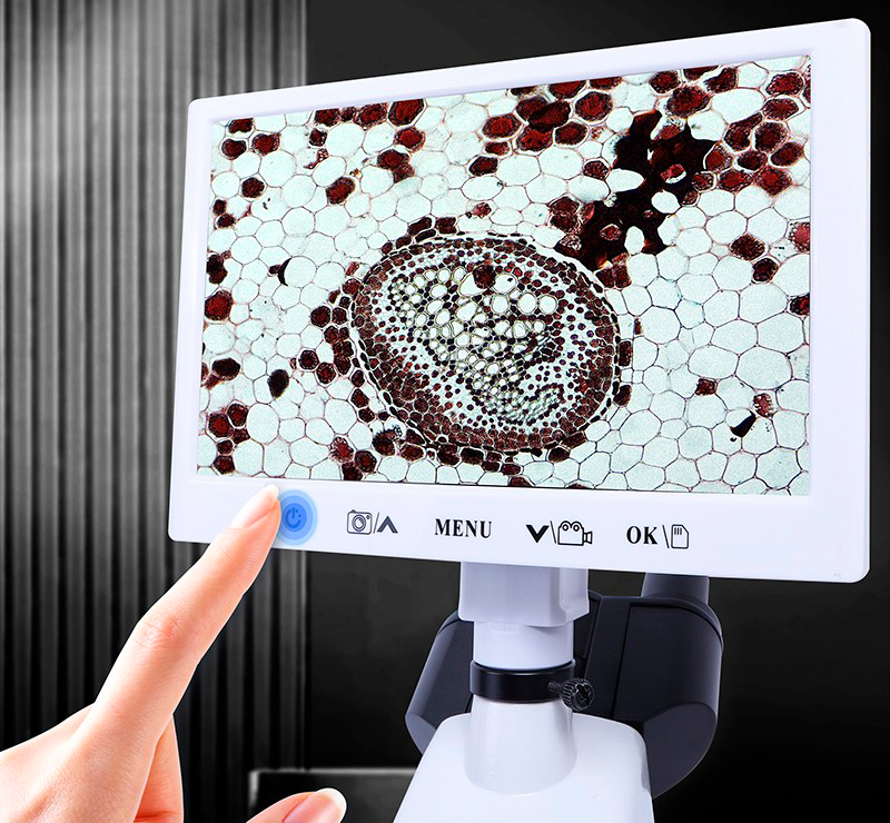 Comparativa de Microscopios Digitales: Kalstein vs Jiusion