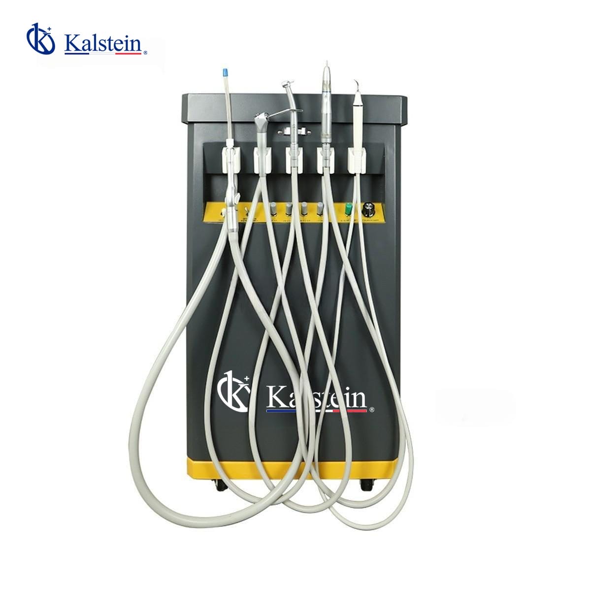 Unidad Dental Veterinaria