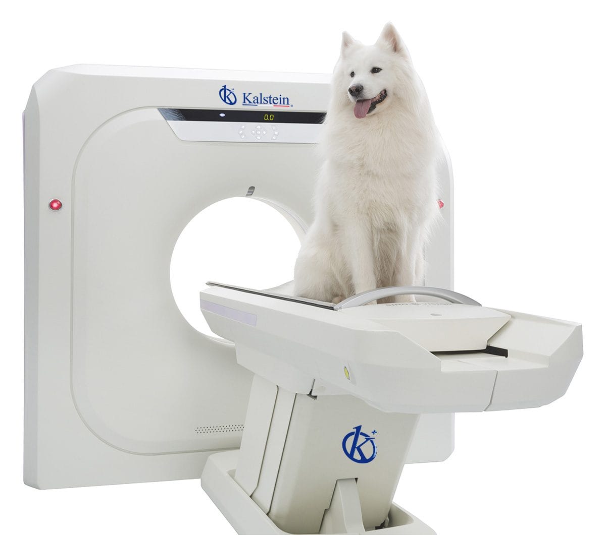 Explorando los Avances del Escáner TC Veterinario