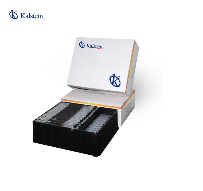 Soluciones Esenciales: Consumibles de Laboratorio para Procesos Confiables y Eficientes