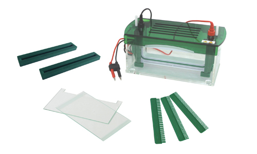 Tanque de Electroforesis Vertical YR03428
