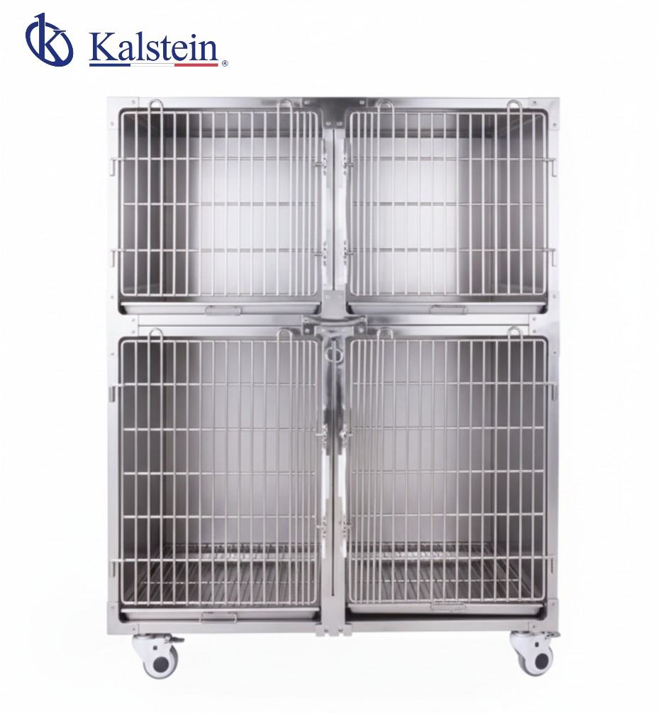 Factores clave a considerar